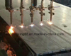 Customized Steel Plate Process/ Steel Cutting Laser Cutting Machine Parts