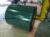 Coloured Galvanized Steel /PPGI Steel /Roofting Sheet