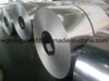 SGCC Gi Coils /Galvanized Steel Sheets in Coils