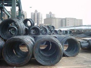 Spring Steel Wire 50crva (Cold Drawn)